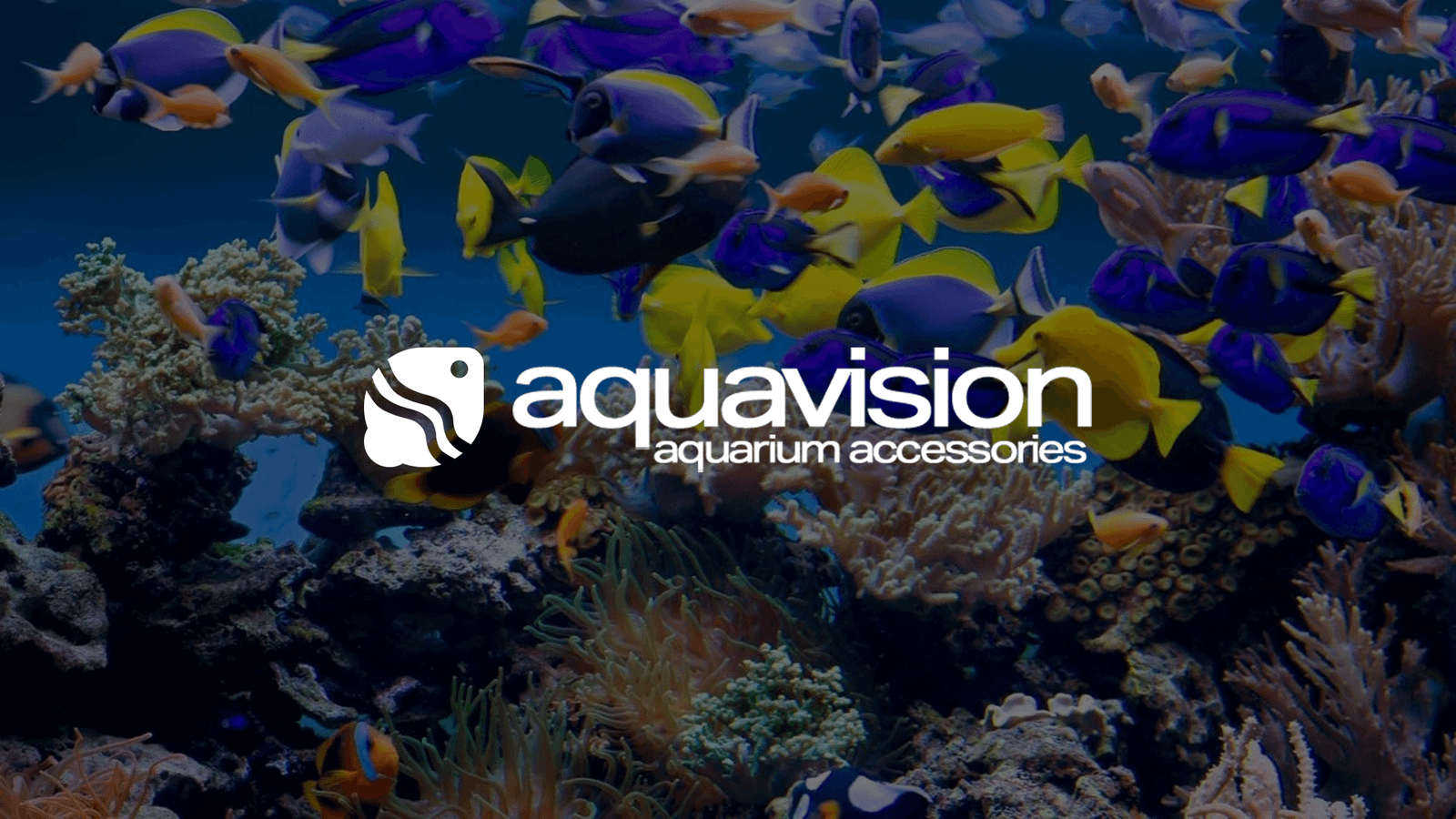 Aquavision marka kimliği
