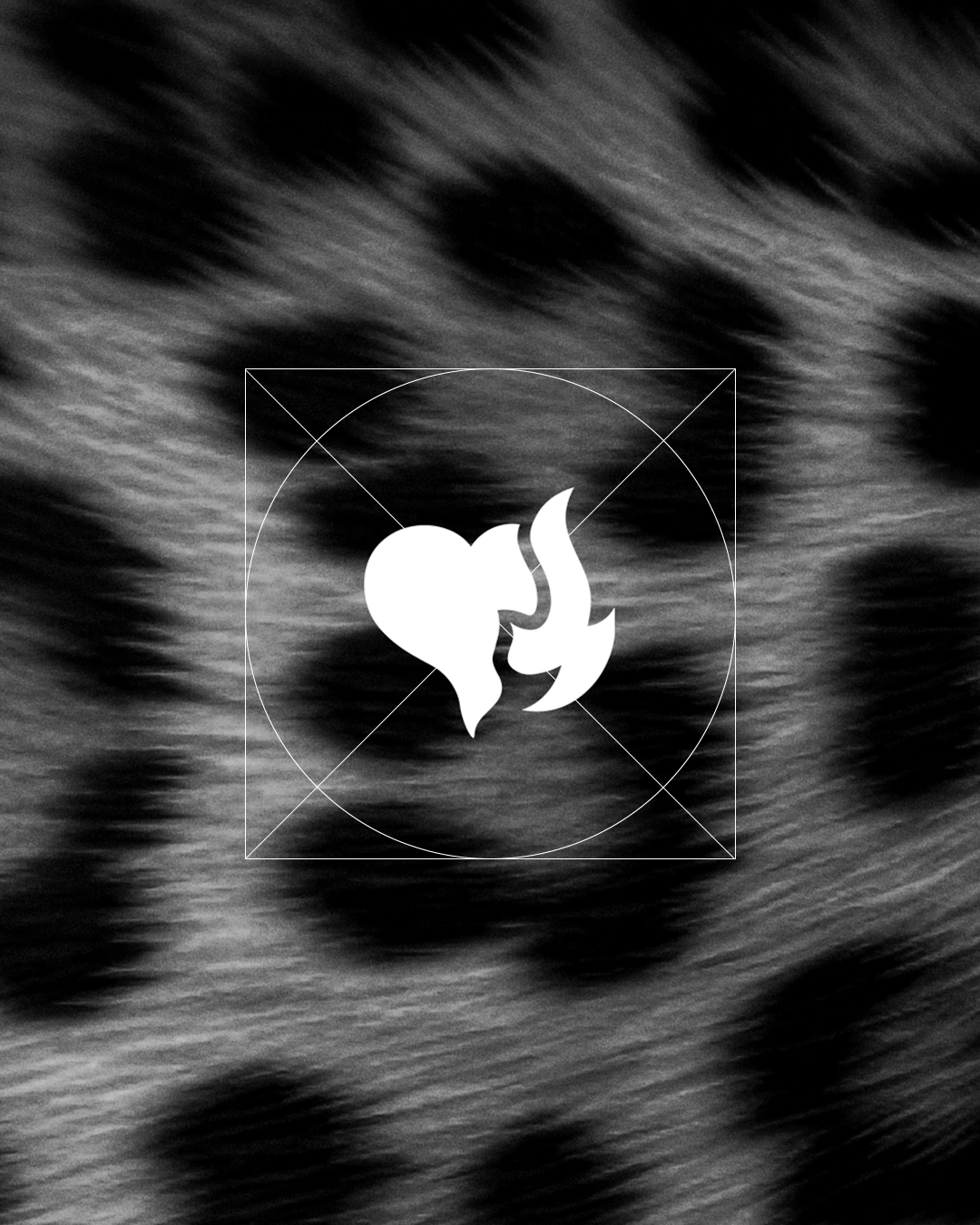 Overpassion — Logo uygulaması